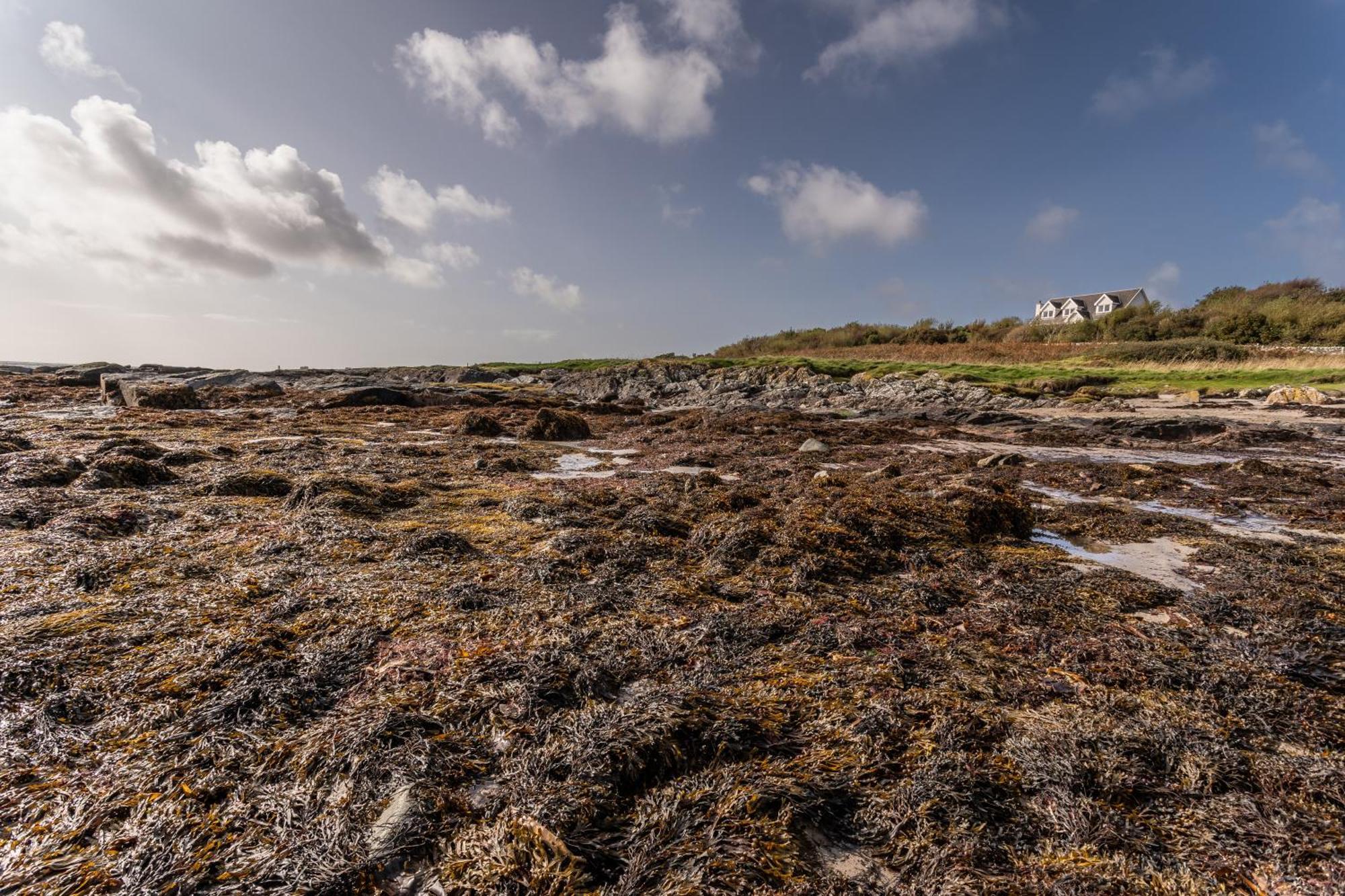 Shorefield, Bruichladdich Exterior foto